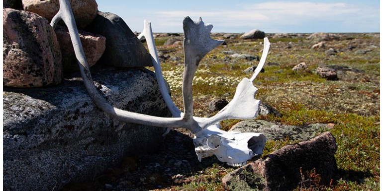 Sedna, le dieu de la mort des Inuits