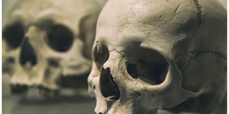 A la découverte du squelette le plus vieux d'Amérique