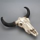 Crâne Décoratif en résine 3D - Crâne de vache à longue corne suspendue vue droite