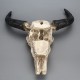 Crâne Décoratif en résine 3D - Crâne de vache à longue corne suspendue vue dessous