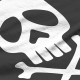 T-shirt de Pirates Jolly rogers à manches courtes et col rond