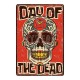 Plaque métal tête de mort avec crâne Santa Muerte - modèle 6