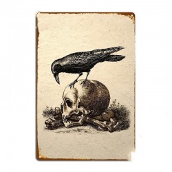 Plaque métallique Gotique avec crâne et corbeau 